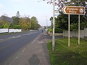 Chapel Road, Dungiven - Geograph - 594543.jpg