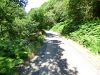 The B866 road near Fearnoch - Geograph - 5869917.jpg