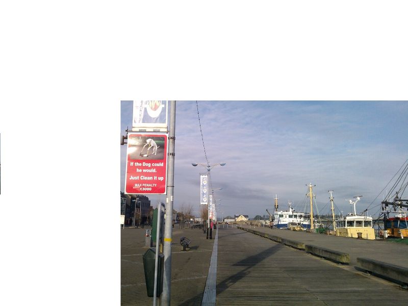 File:Dog Fouling Signage in Wexford on Sunday, 13th January, 2013.jpg