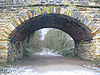 Under The Railway Bridge at Hartfield Station - Coppermine - 9183.jpg