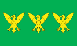 Caernarfonshire Flag.png