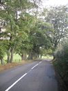Avonbridge Road - Geograph - 1526016.jpg