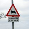 Otter crossing sign, Kirkwall.jpg