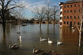 Flooded riverside, Worcester - Geograph - 315365.jpg