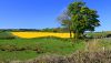 Nether Bouprie by Aberdour (C) edward mcmaihin - Geograph - 2392084.jpg