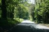 The R410, County Kildare - Geograph - 1884622.jpg