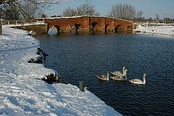 Eckington Bridge and four cygnets - Geograph - 1660760.jpg