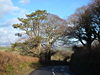 B3186 above Two Crosses - Geograph - 295848.jpg