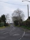 Road from Oakley to Canford Magna - Geograph - 299424.jpg