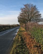 Between Thriplow and Fowlmere - Geograph - 5222196.jpg