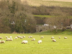 Durweston Bridge - Geograph - 371889.jpg