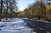 Road through Forest - Geograph - 1657803.jpg