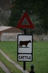 Pw-cattle-wells.jpg