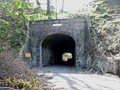 Axminster Tunnel, Thistle Hill - Geograph - 160226.jpg