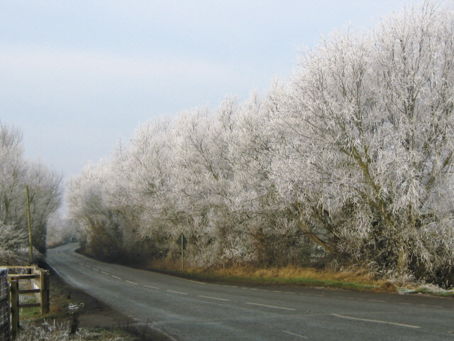 File:A372 (Langport to Othery road) with winter frost - Geograph - 1127596.jpg