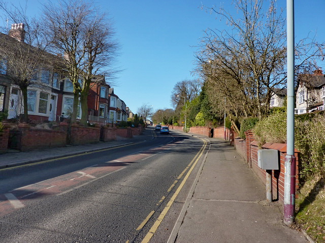 File:Park Lane, Great Harwood - Geograph - 1736397.jpg