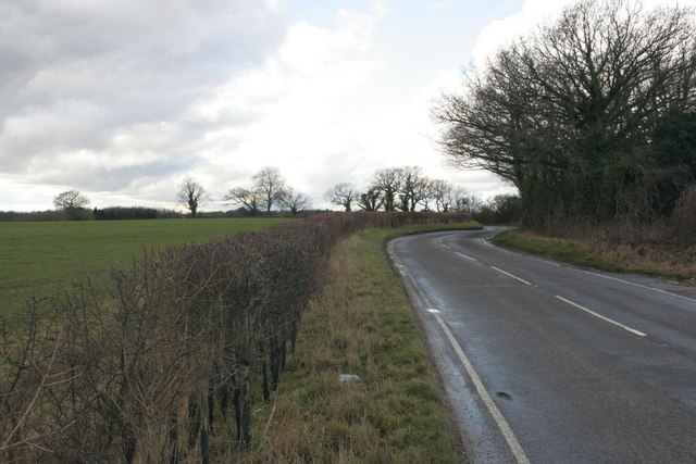 File:Road bending towards Aldworth - Geograph - 1736355.jpg