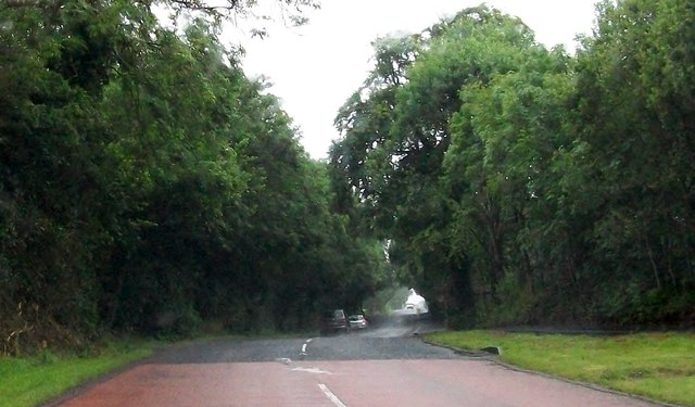 File:The A509 Derrylin Road north of Bellanaleck - Geograph - 3215059.jpg