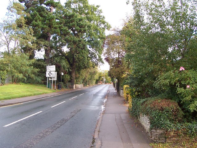 File:View along Elm Road towards the University - Geograph - 2124736.jpg