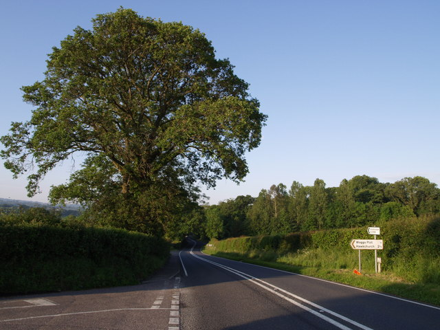 File:A358 at Waggs Plot - Geograph - 457714.jpg