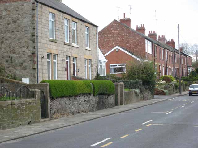 File:Sherburn Terrace, Low Westwood, Hamsterley - Geograph - 397584.jpg