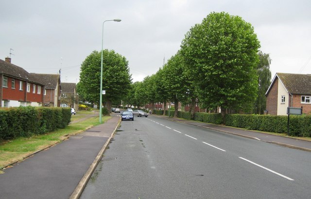 File:Newmarket- B1103 New Cheveley Road - Geograph - 881344.jpg