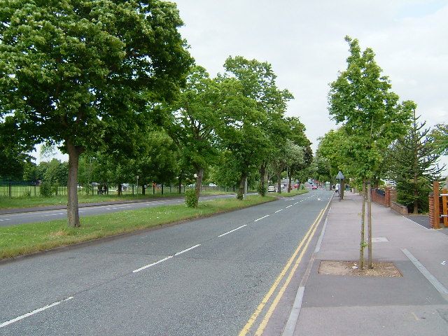 File:Ansty Road - Geograph - 18276.jpg