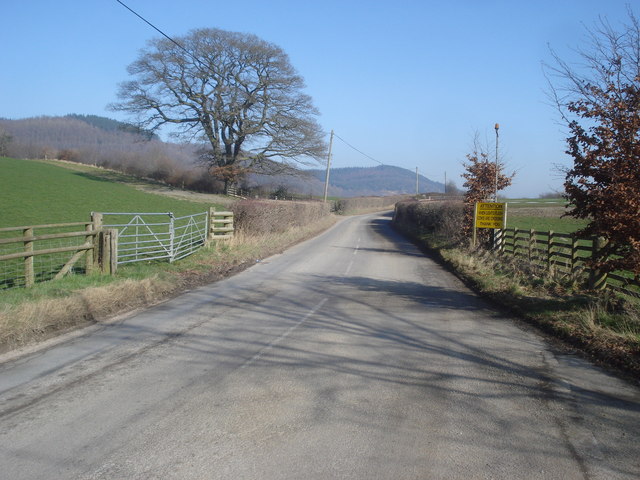 File:Cow crossing point at Knill Junction - Geograph - 901377.jpg