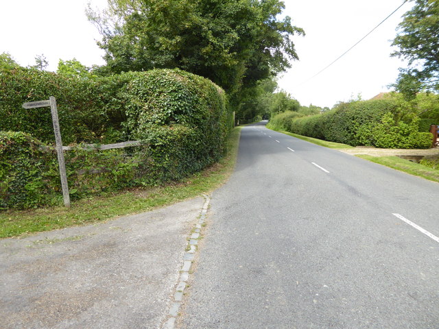File:Looking north on Marringdean Road from footpath junction - Geograph - 5071930.jpg
