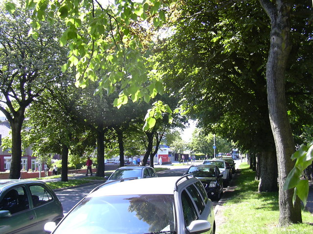 File:Casterton Avenue, Burnley (C) robert wade - Geograph - 1332584.jpg