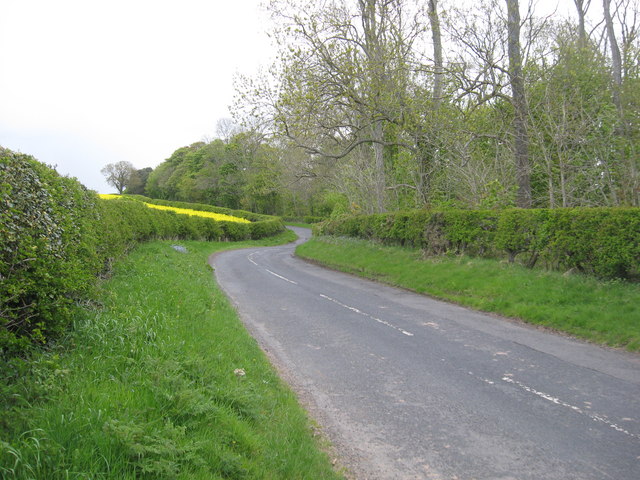 File:The B6437 heading towards Ladykirk (C) Liz 'n' Jim - Geograph - 1852207.jpg