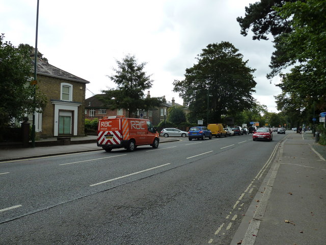 File:Sunday lunchtime traffic in The Avenue - Geograph - 2089367.jpg