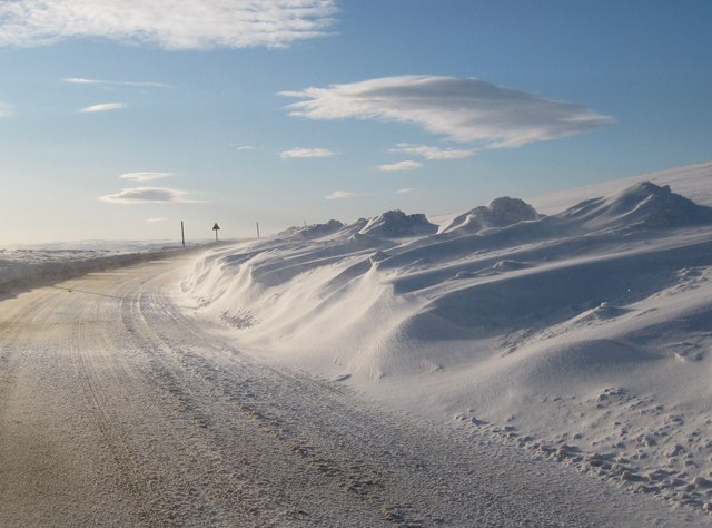 File:Langleydale Common - Geograph - 1715720.jpg