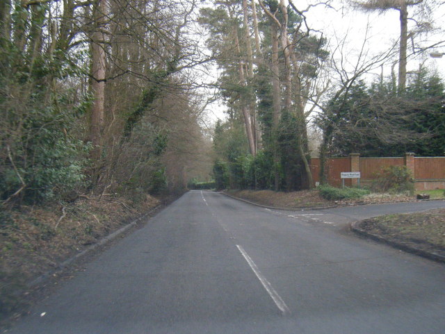 File:Nightingales Lane (C) Colin Pyle - Geograph - 2833084.jpg