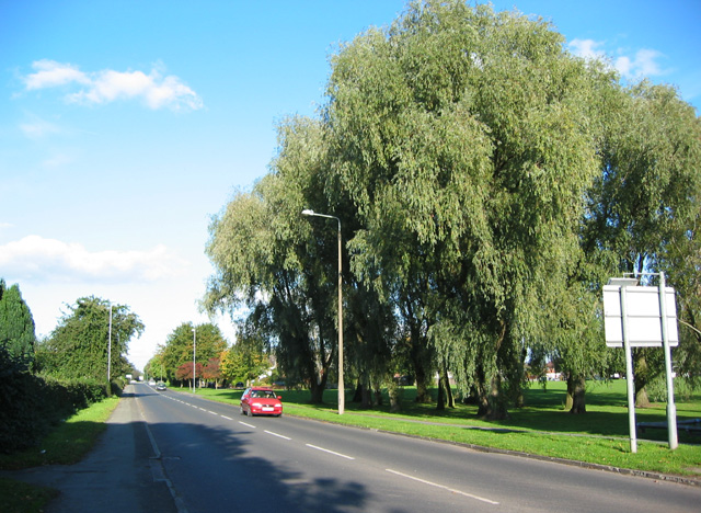 File:Middlewich Road (A530), N Nantwich - Geograph - 257169.jpg