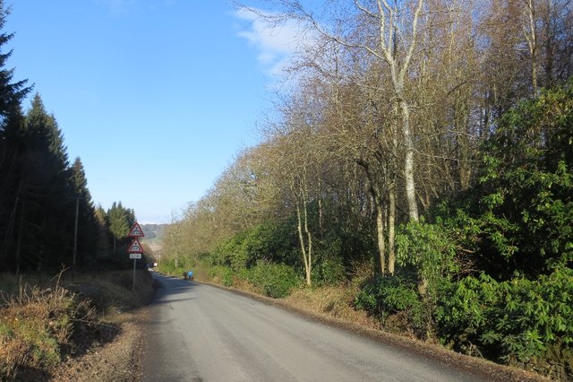 File:B9141, Muir Wood - Geograph - 4335239.jpg