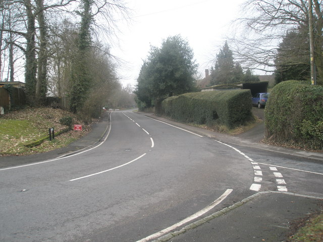 File:Looking along the Lindford Road - Geograph - 1709874.jpg