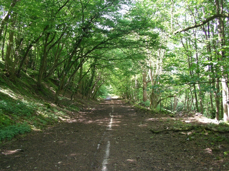 File:Abandoned A602 near Watton-at-Stone - Coppermine - 12017.jpg