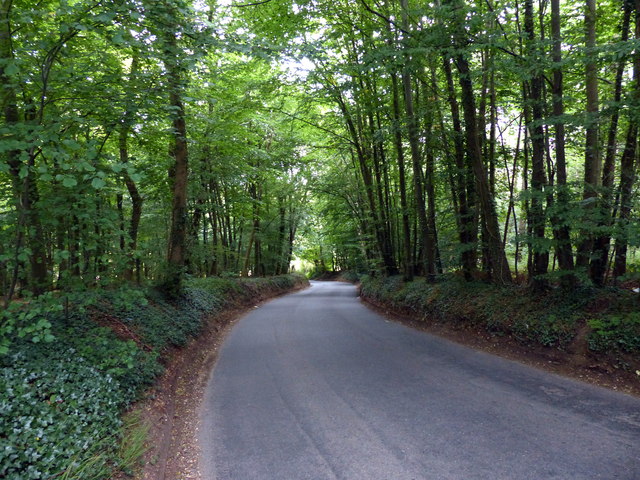 File:Stony Lane descending through West Wood - Geograph - 5281833.jpg