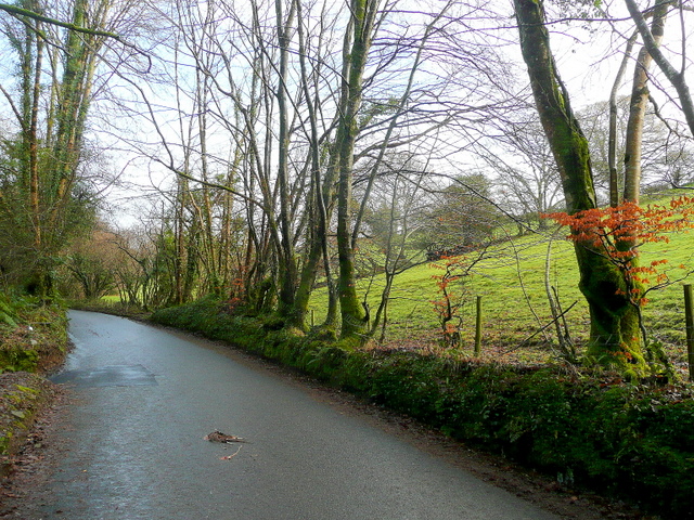 File:B3268 north from Lostwithiel - Geograph - 1672952.jpg