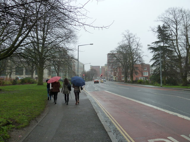 File:Southampton's splendid parks (44) (C) Basher Eyre - Geograph - 2289299.jpg