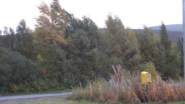 File:AA phone box, Dalwhinnie - Geograph - 1006661.jpg