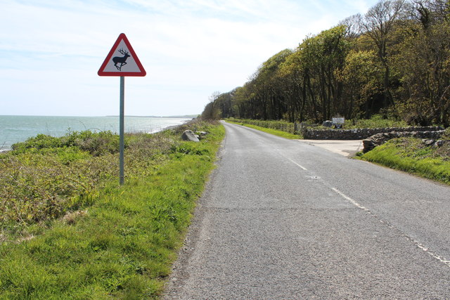 File:Road to Drummore - Geograph - 4460373.jpg