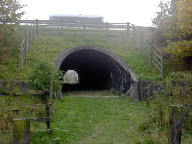 File:A66 pedestrian tunnel - Geograph - 262143.jpg