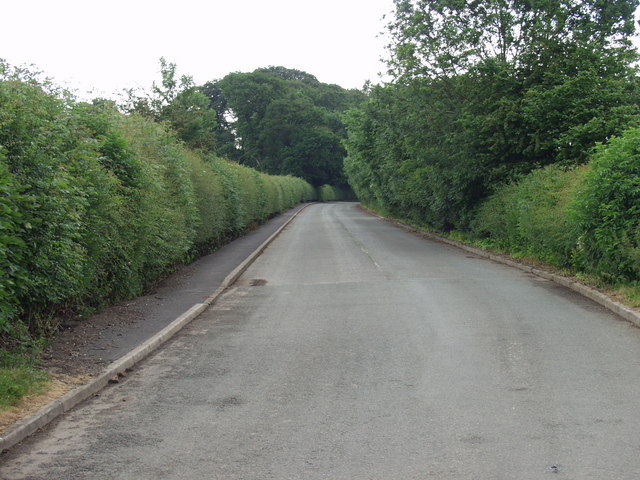File:The old route of the A5 - Geograph - 189276.jpg