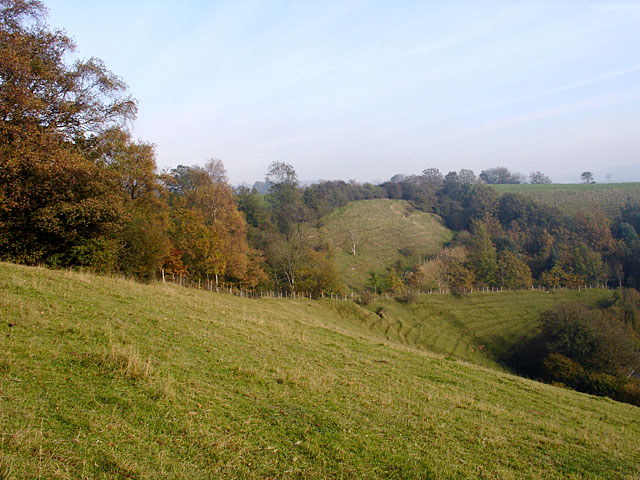 File:Coombe Hill lower slopes - Geograph - 273718.jpg