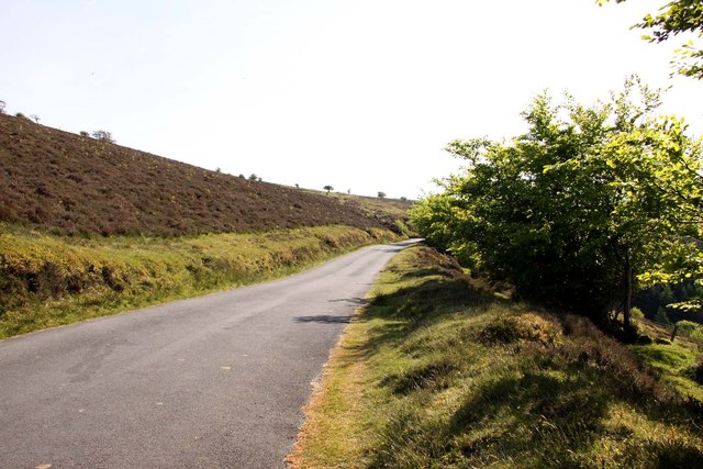 File:The Porlock Toll Road near Westcott Brake - Geograph - 3537792.jpg