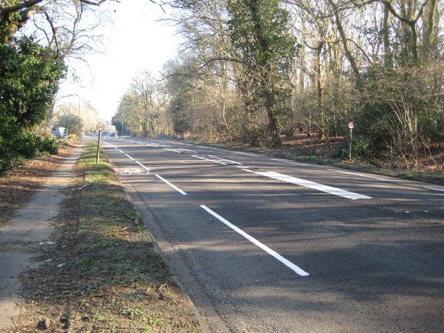 File:Send Marsh- B2215 Portsmouth Road - Geograph - 700370.jpg