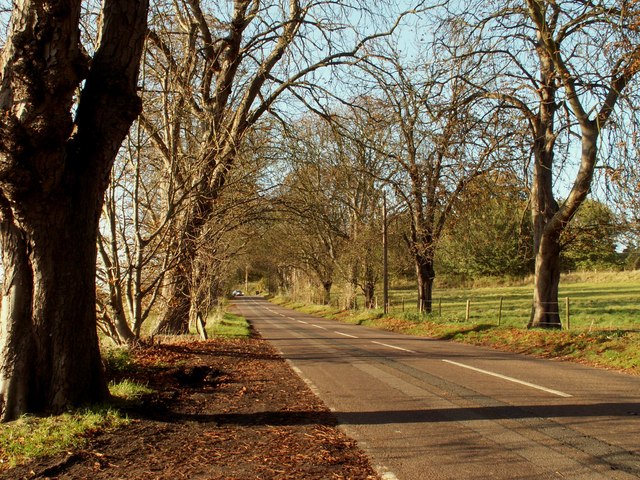 File:A lovely autumn day along Holly Cross Road - Geograph - 1022144.jpg