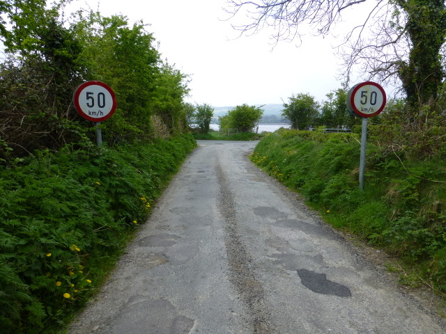 File:Speed limit signs, Inch Island - Geograph - 3951642.jpg